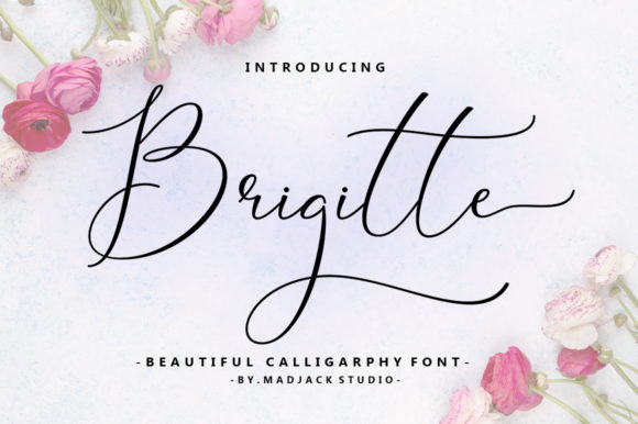 Brigitte Font: Elevating Web Design with Elegant Script