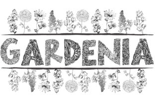 Gardenia LF Font for Editorial Design and Nature Content
