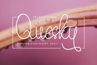 Quesky Font Review for Authentic Campaign Design